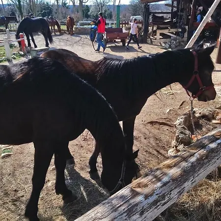 Casa vacanze Casa Bozzero